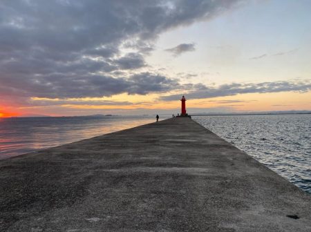 初冬でもチヌは気軽に狙える